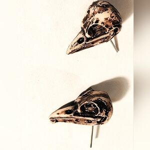 Unique Resin Bird Skull Earrings With Original Case And Multiple Backs. New